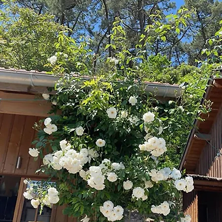 D'hotes - Village Petit Piquey