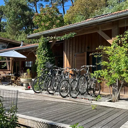 D'hotes - Village Petit Piquey * Lège-Cap-Ferret