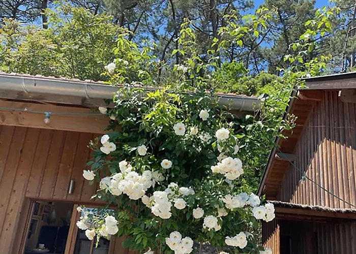 D'hotes - Village Petit Piquey