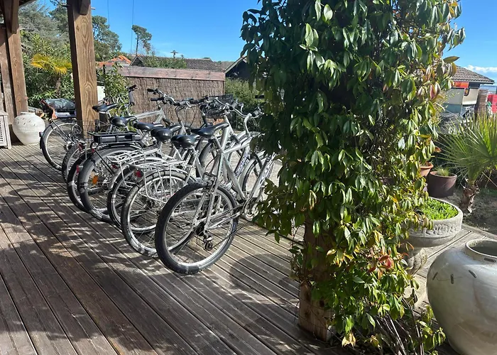 D'hotes - Village Petit Piquey *